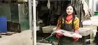 22歲安徽女孩，人稱“賣魚西施”，網友惋惜嫁太早，她這麼回答