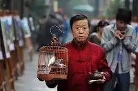 被吐槽“窮講究”後，北京為何成了美食荒漠？背後4個原因太現實