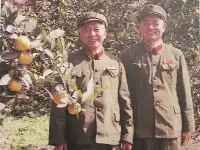 1985年，萬海峰任成都軍區政委，搭檔從1軍軍長越級提拔軍區司令