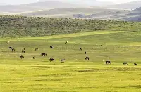 內蒙古將一半國土列入生態保護紅線範圍
