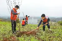 2022年四川省國土綠化公報發佈全省森林覆蓋率達40.26%