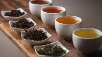 中國茶葉大省都有哪些名茶？