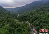 探訪海南熱帶雨林國家公園吊羅山片區