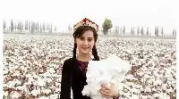 新疆棉花背後的香港女富豪，不願當豪門千金，投資幾個億去種棉花