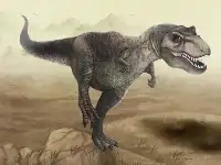 廣東要火了！廣州一中學生在肇慶發現恐龍遺跡，專家：科學價值大