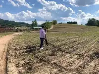 東豐縣秸稈覆蓋還田免耕項目初見成效