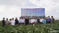 南疆棉花創新中心正式成立