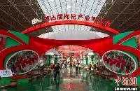 第四届枸杞產業博覽會在“中國枸杞之鄉”舉行
