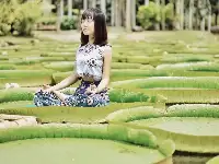 西雙版納“神奇植物”王蓮：一個成年女子可坐，真正的“水上漂”