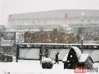 罕見寒潮暴擊下的中國北方：“一場雪，比往年整個冬天的量都大”