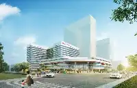 武漢新添一家大型三甲兒童醫院，預計明年10月啟用