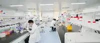 生物島實驗室新冠病毒基因組大數據線上分析系統在廣州正式上線