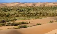 4年創造30萬畝綠洲，中國向最大沙漠進軍，印：水是我們的