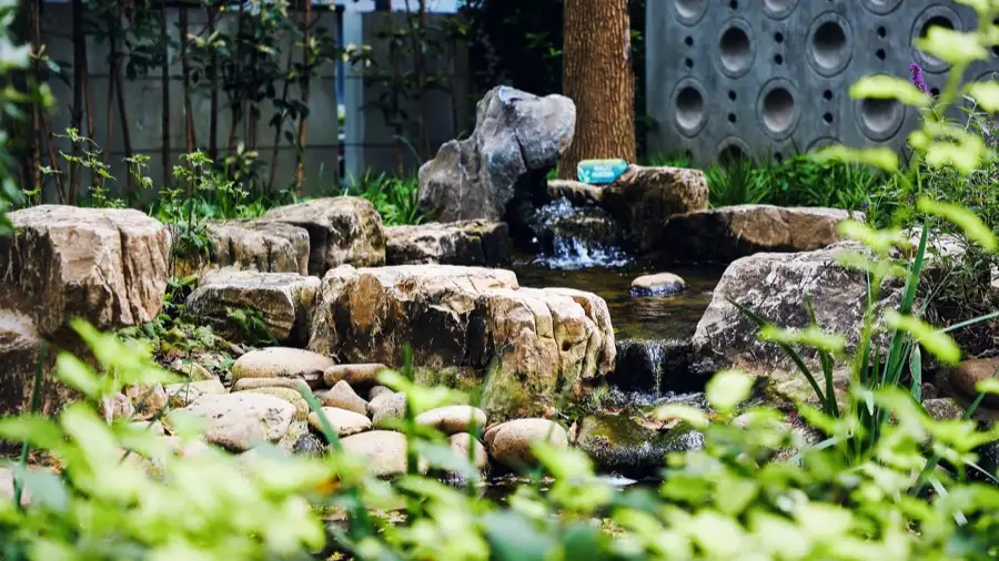 虹橋南豐城內，上海首個位於商圈的生境花園。受訪者供圖.jpeg