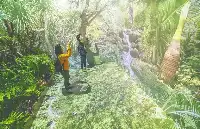2022年博鼇亞洲論壇公園雨林文化展開展