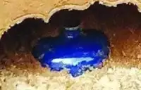 南京被盜古墓發現“藍色酒瓶”，專家鑒定後大喜：起碼值1個億
