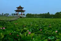 天津一個絕美莊園，占地1500畝，還可享受南國風光