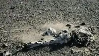 羅布泊大漠發現一具屍體，塵封50多年的秘密，終被揭開