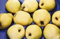 古老水果“榅桲”：長得像梨又像蘋果，渾身是毛，適合煮熟了吃
