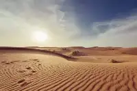 毛烏素沙漠：中國首個將消失的沙漠，其中80%已被覆蓋成綠洲