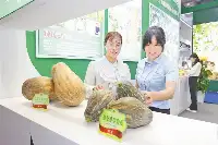 近50家種業企業、組織攜創新成果參加2024中國種子（南繁矽谷）大會室內展覽